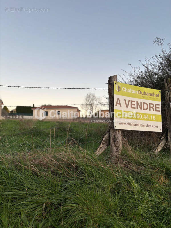 Saint  victor sur rhins - terrain de 1396 m² - photo 6