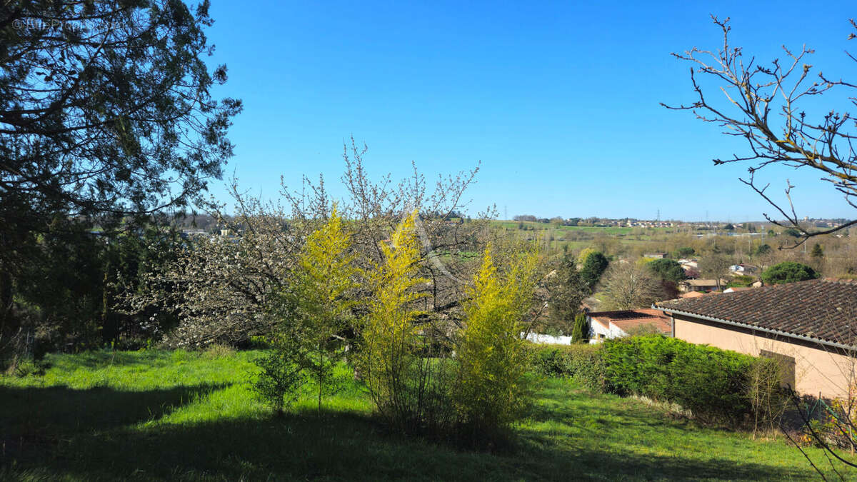 Terrain à BEAUPUY