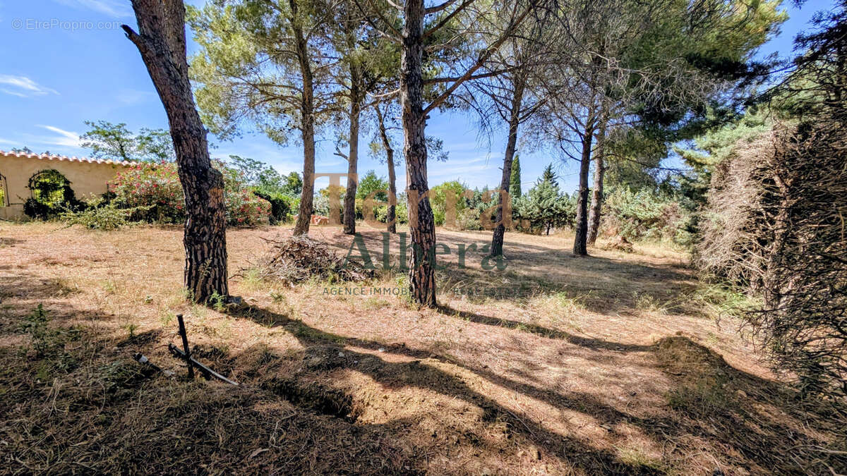 Terrain à MONTESQUIEU-DES-ALBERES