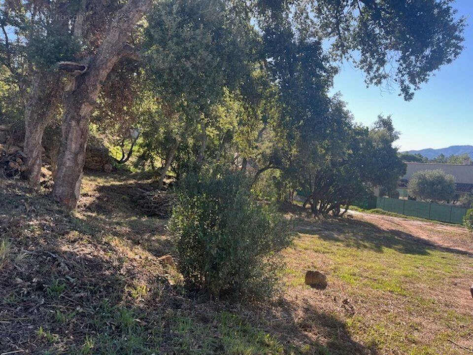 Terrain à VIDAUBAN