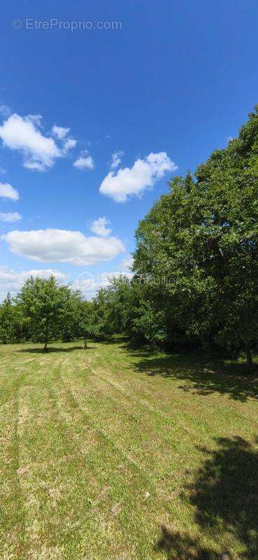 Vends terrain constructible de 1025 m2 proche de monclar de quercy - photo 2