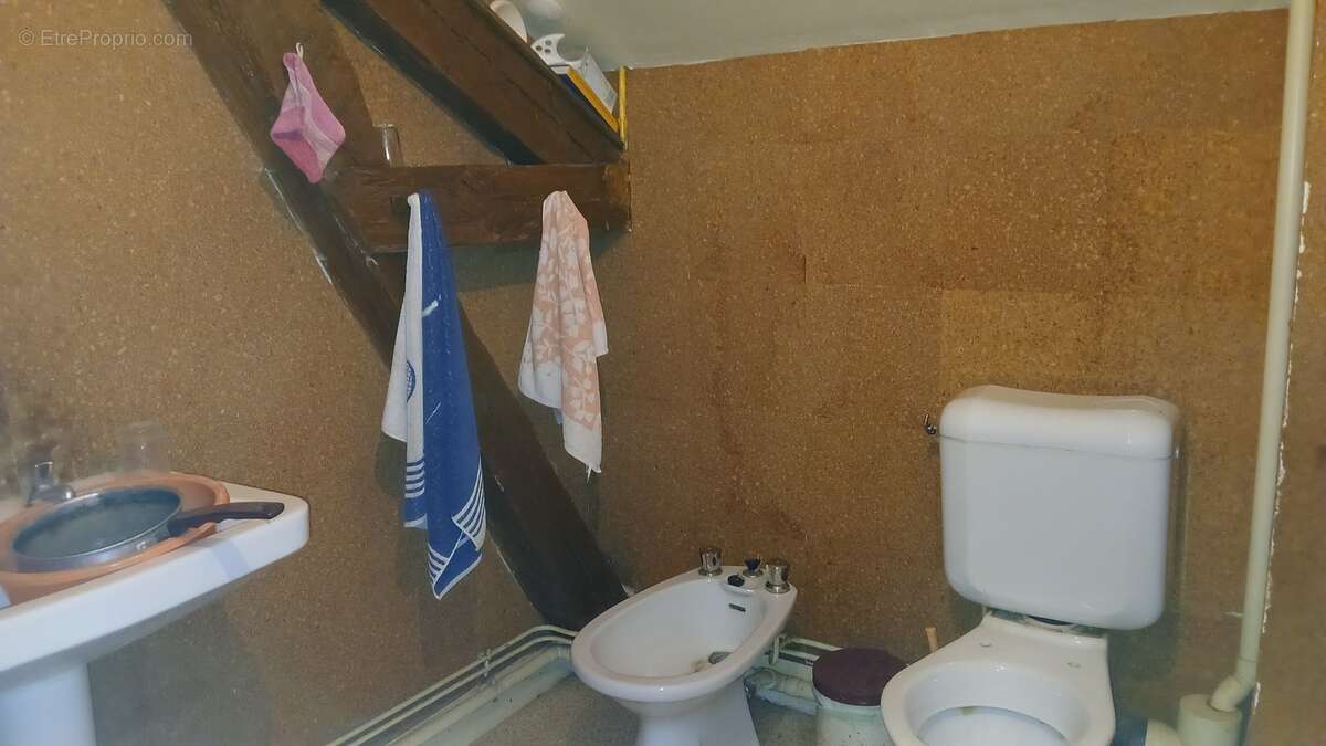 Maison 340 m² à Chassaignes  - photo 276