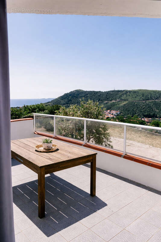 Villa 4 faces avec vue mer & montagnes   328 m2   Cerbère - photo 11