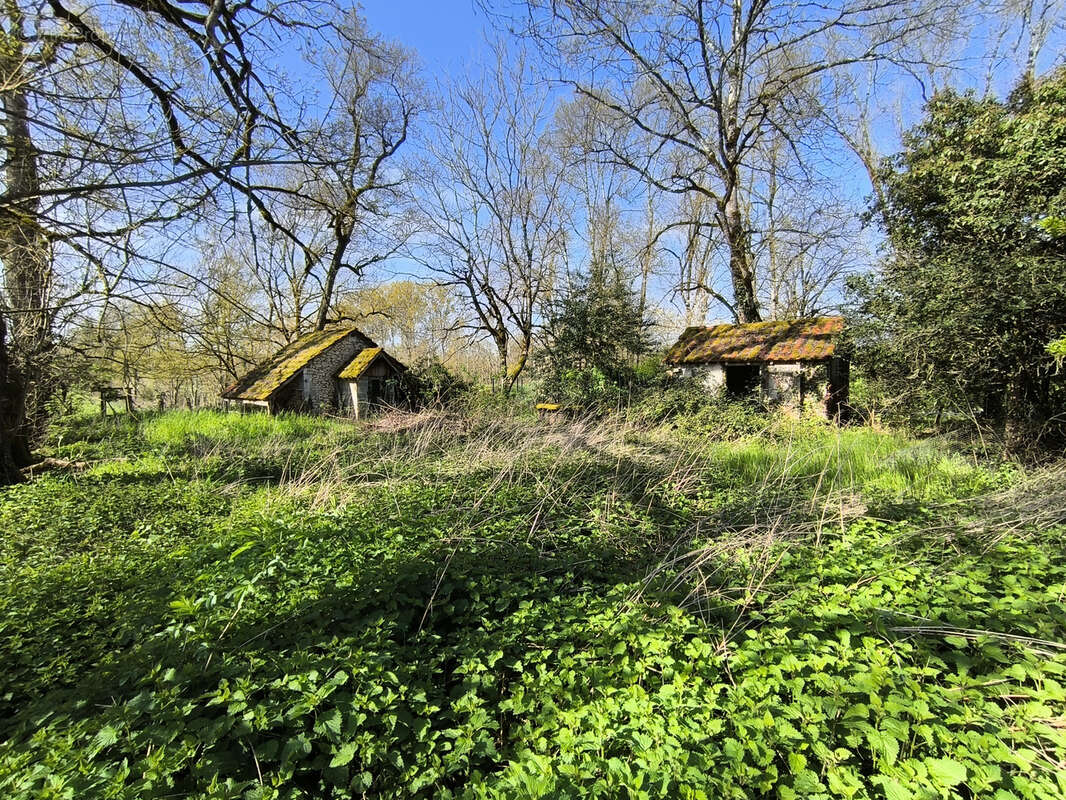 Maison à GRAND-BRASSAC