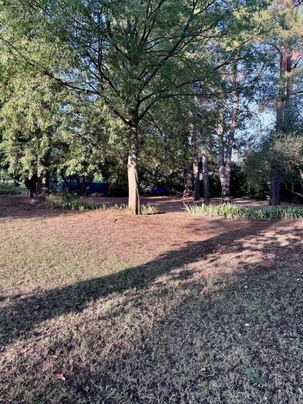 Terrain à SAINT-REMY-DE-PROVENCE