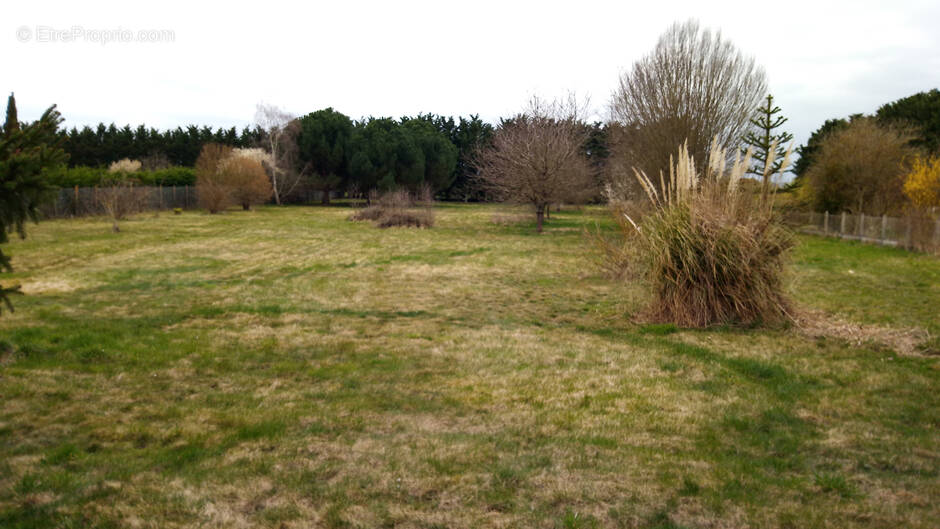 Terrain à NANCRAY-SUR-RIMARDE