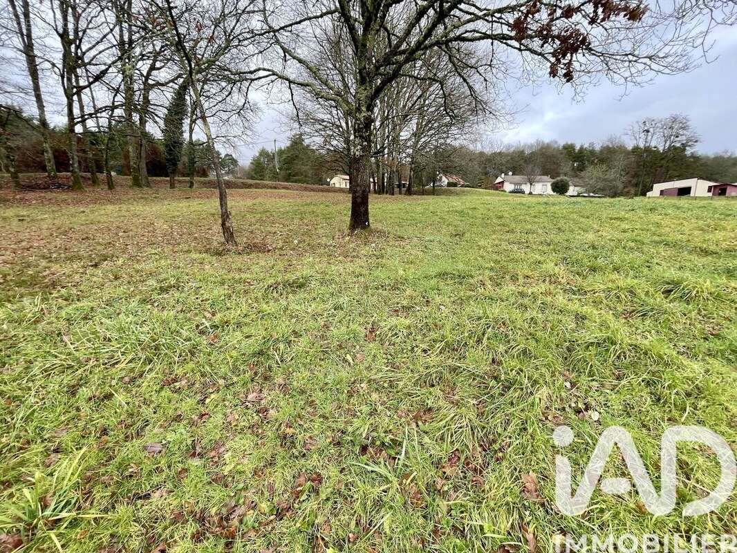 Photo 2 - Terrain à SAINT-PARDOUX-LA-RIVIERE