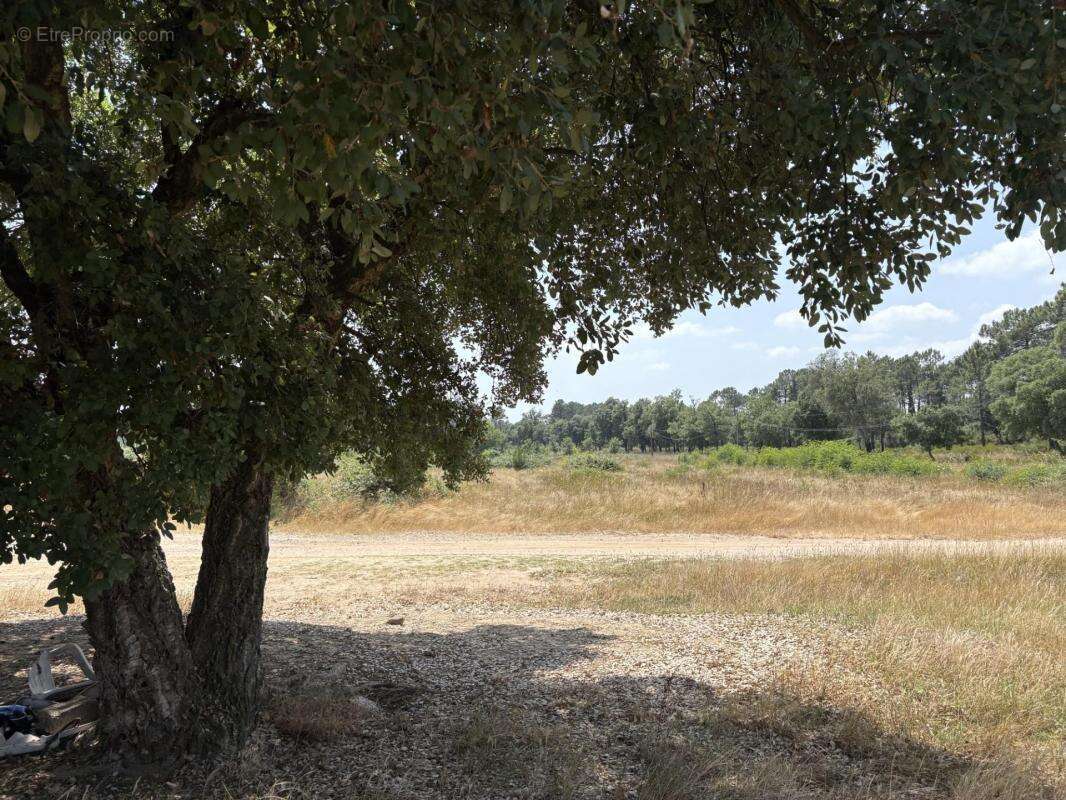 Terrain agricole et naturel - photo 3
