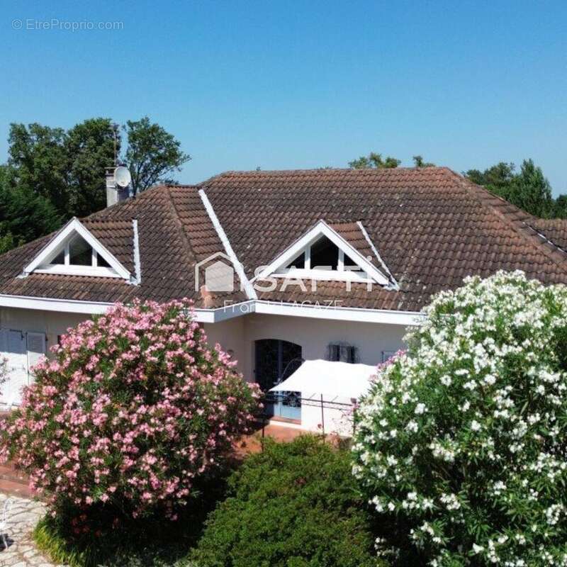 Photo 3 - Maison à NOGARO