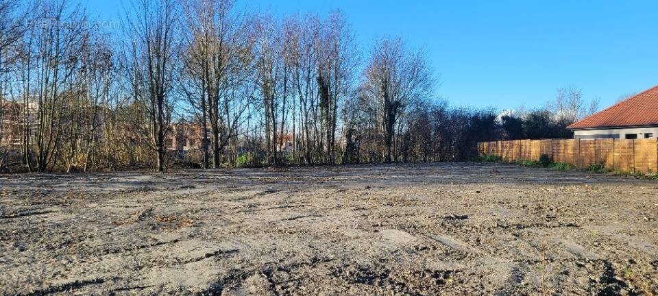 Terrain à GRAVELINES