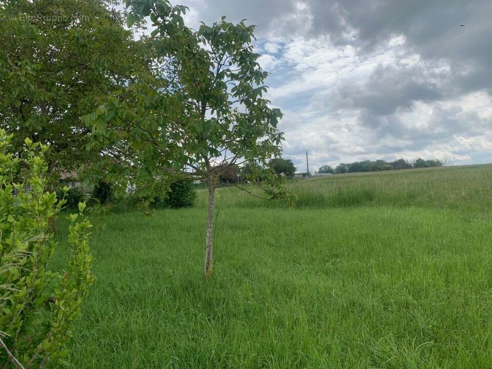 Terrain 441 m² à Distroff  - photo 5