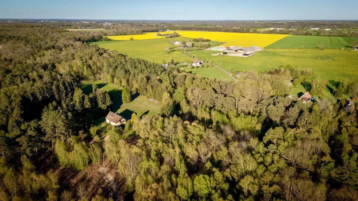 Maison neo-norman de 3ch - 7ha de terrain dont foret - sous-sol - photo 7