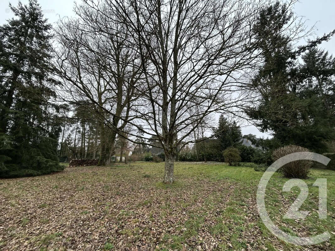 Maison à SAMOIS-SUR-SEINE