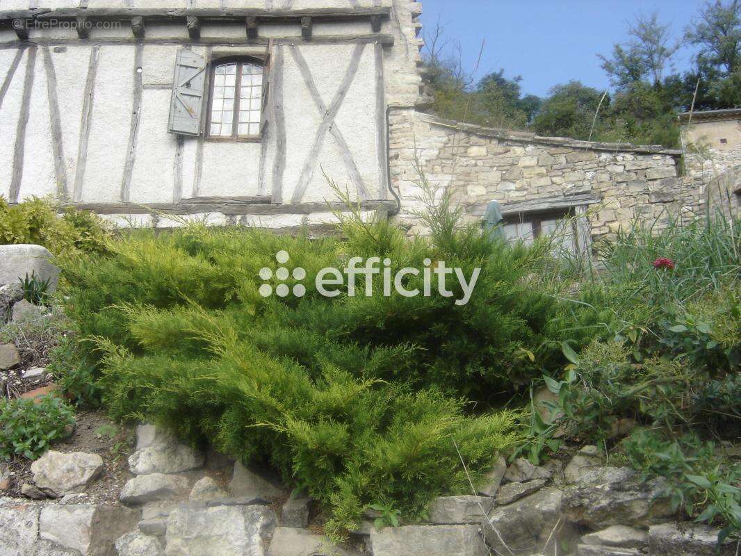 Maison 167 m² à Cordes-Sur-Ciel  - photo 8