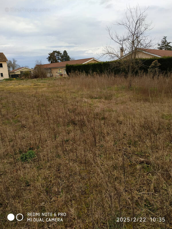 Terrain à SAINT-GEORGES-DE-RENEINS