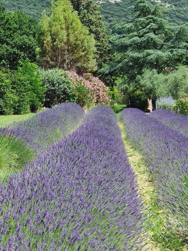 Maison à MONTELIMAR