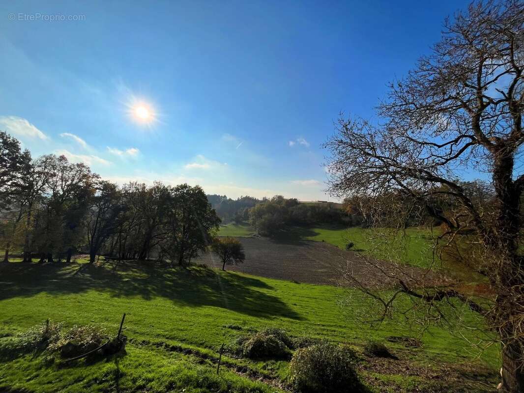 Maison à VERTEILLAC