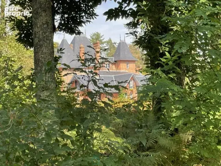 Magnifique propriété au coeur de la Sologne - photo 4