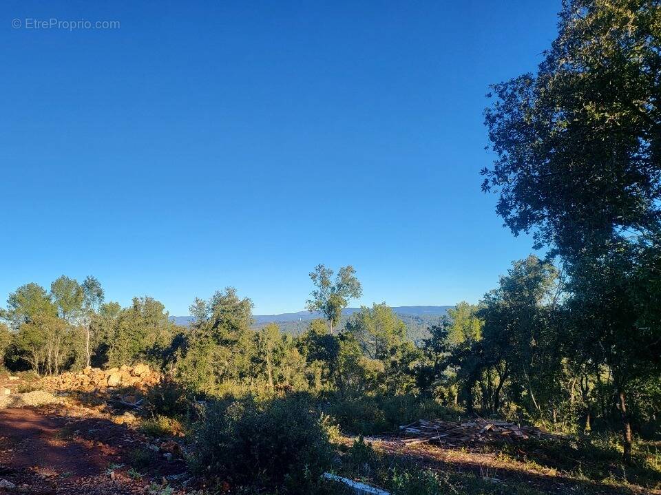 Terrain à LE THORONET