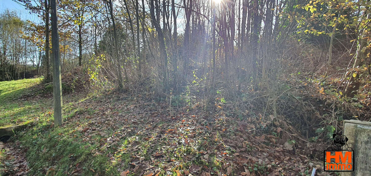 Terrain à LADIGNAC-LE-LONG