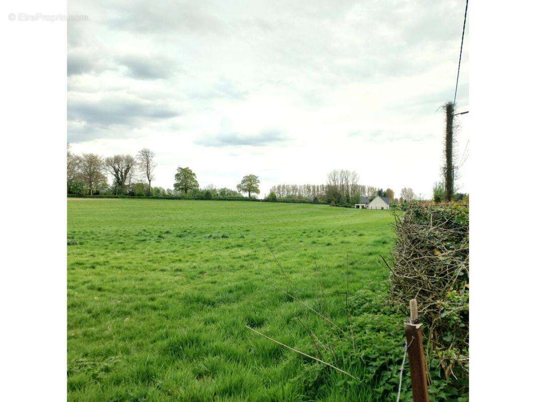 Terrain à RUISSEAUVILLE