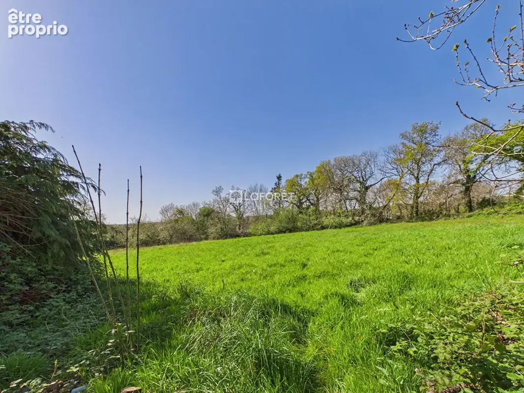 Maison Douarnenez 6 pièce(s) 122,5 m2 - photo 23