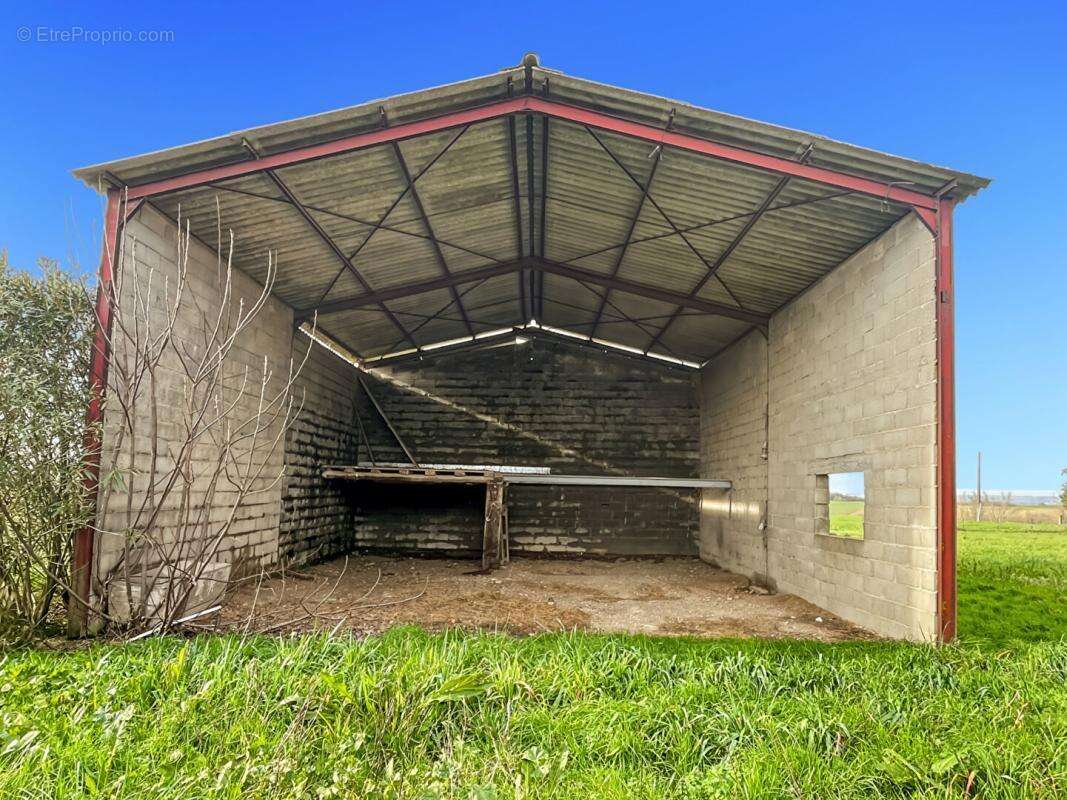 EXCLUSIF À MONTJOIR : Propriété de Caractère de 260 m² ? DPE A - photo 17