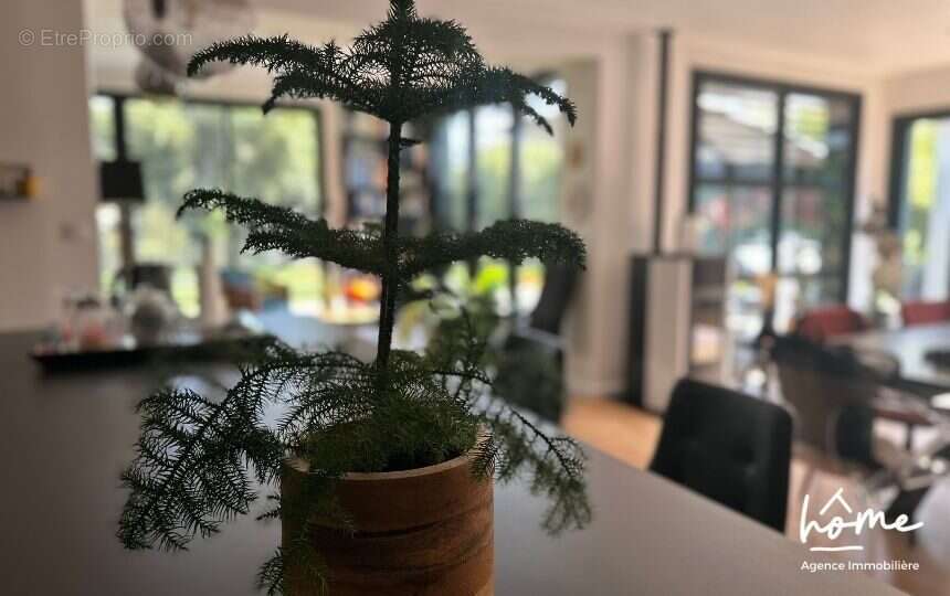 Maison à PLOUDANIEL