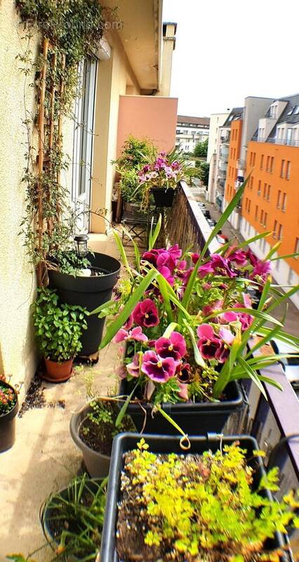 Photo 1 - Appartement à LIMOGES