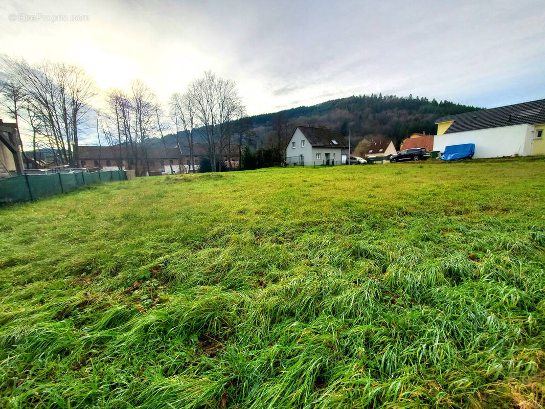 Terrain à SCHIRMECK