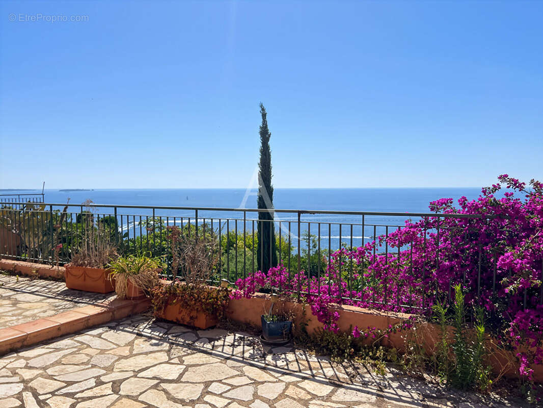 Appartement à THEOULE-SUR-MER