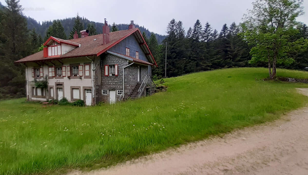 Terrain à GERARDMER