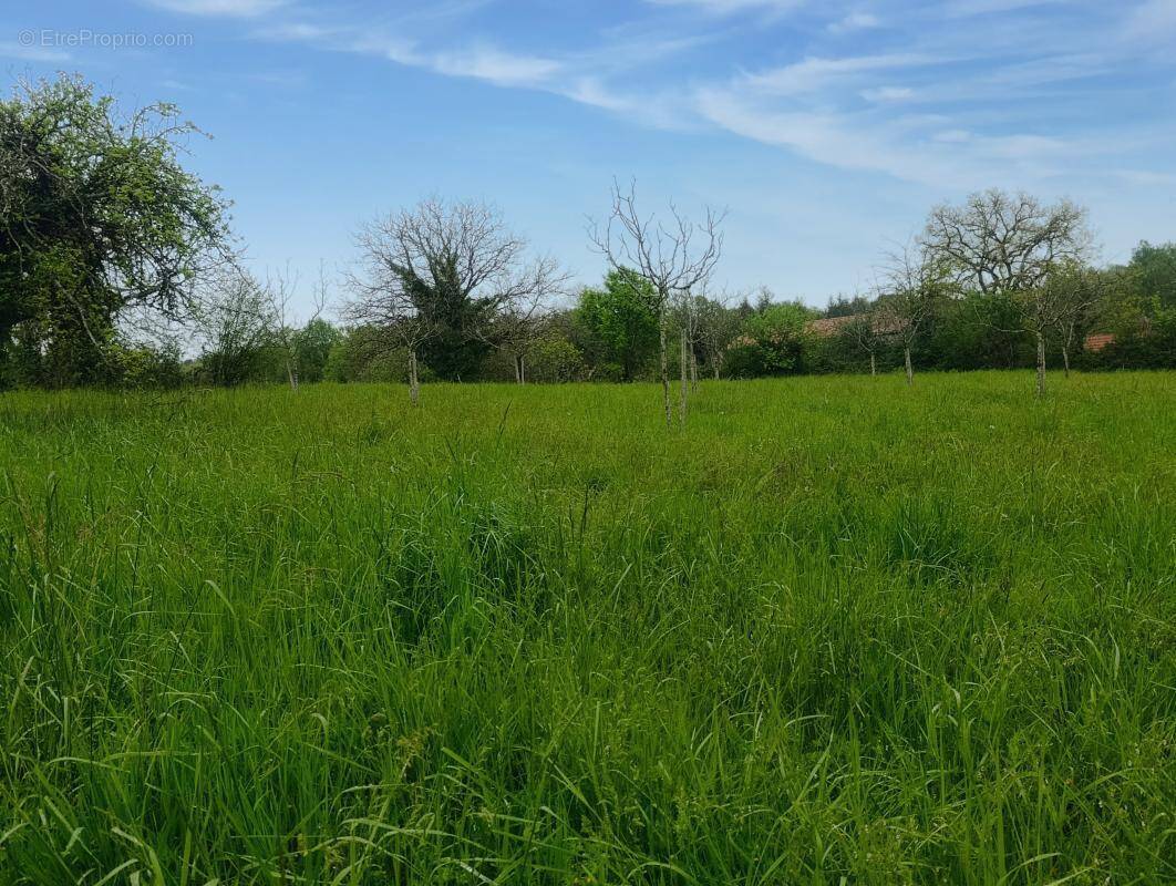 Terrain à SALIGNAC-EYVIGUES