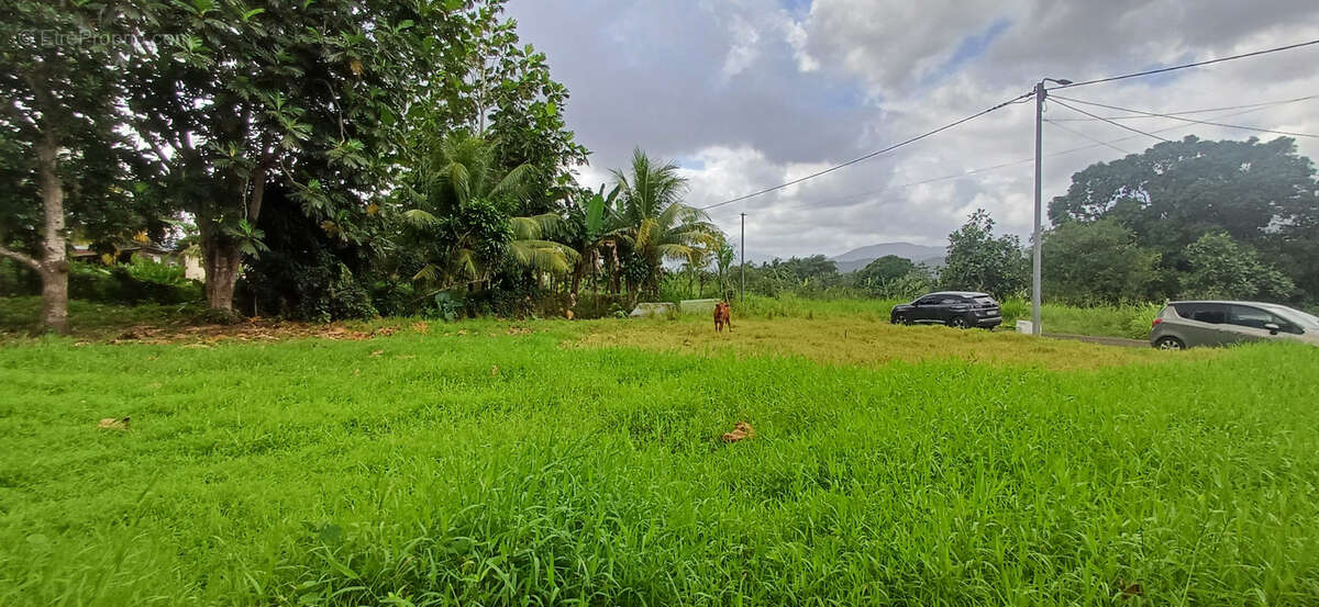 Terrain à LAMENTIN