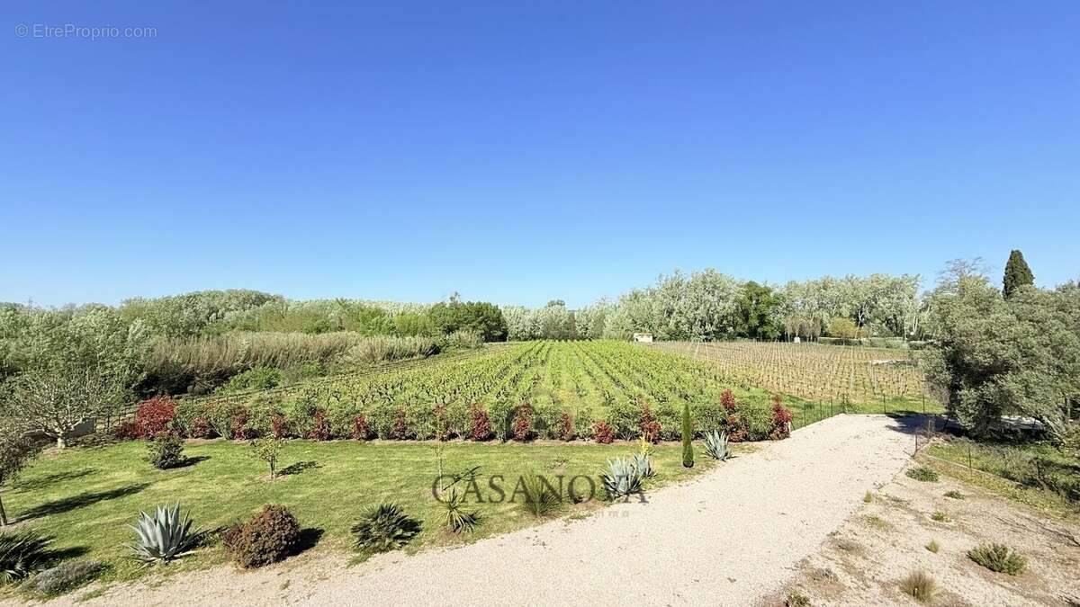 Maison vigneronne avec dépendances, piscine et terrain arboré entre Montpellier et Béziers - photo 5