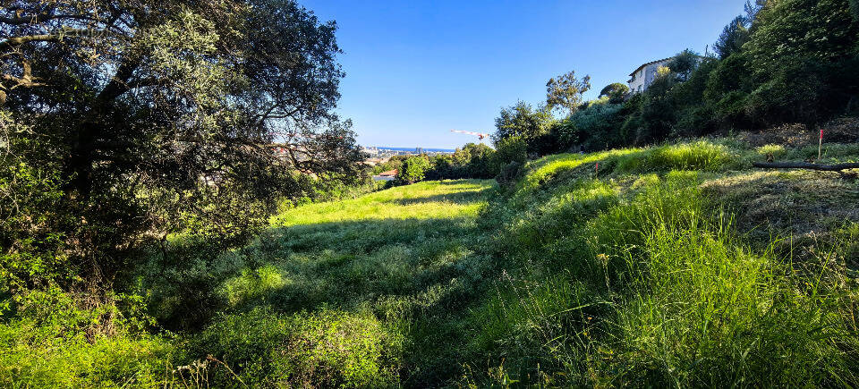 Terrain à SAINT-LAURENT-DU-VAR