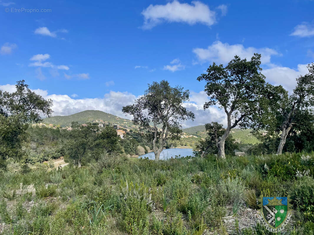 Terrain à LA LONDE-LES-MAURES