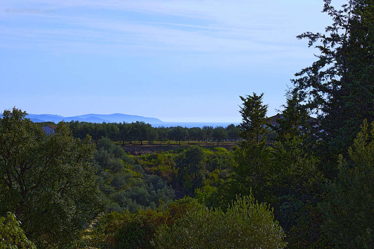 Terrain à CUTTOLI-CORTICCHIATO