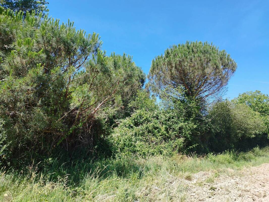 Terrain à GRATENS