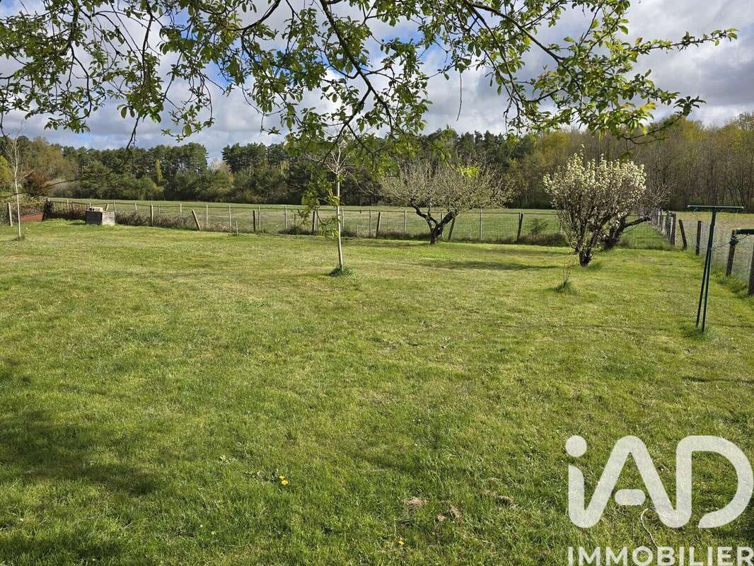 Photo 8 - Maison à CHEVERNY