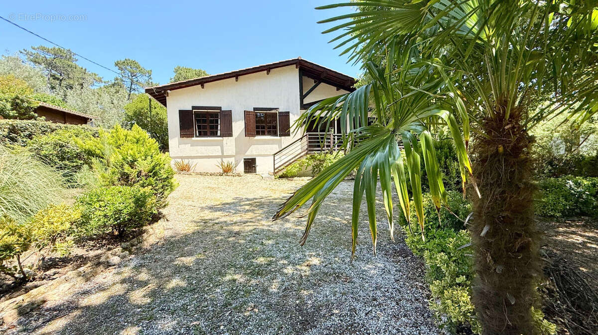 La teste de buch - abatilles/golf d'arcachon - projet d'architecte - 4 chambres - piscinable - beau terrain de - photo 4