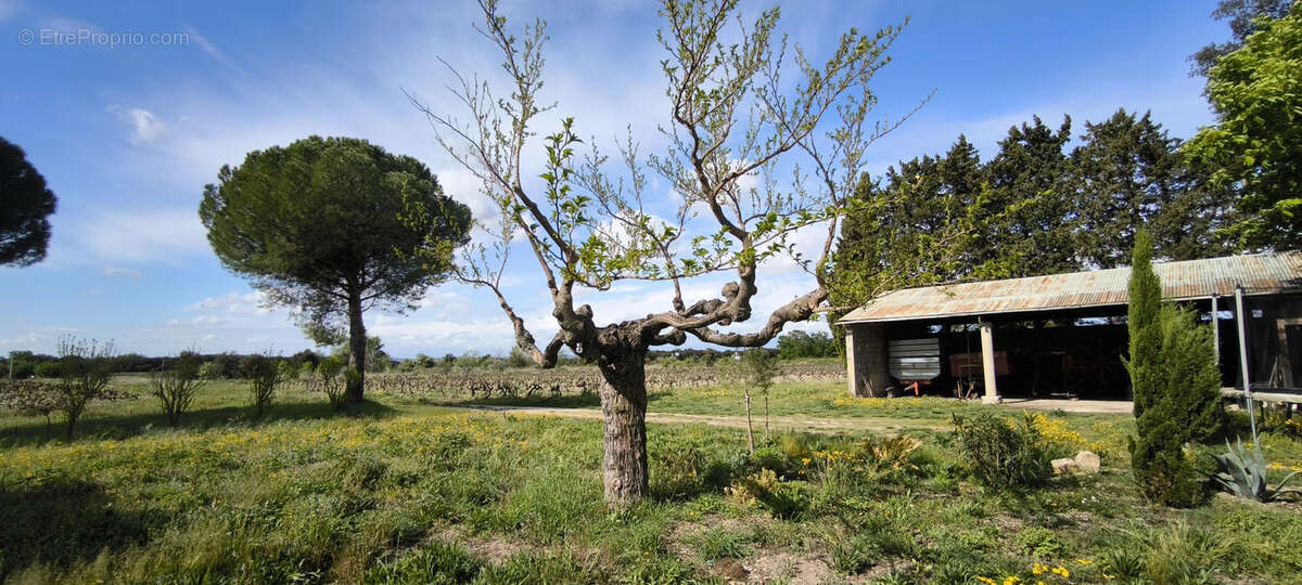 Maison à VISAN