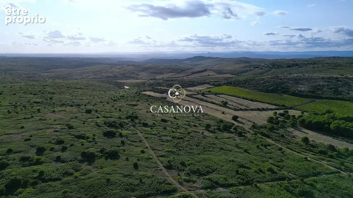 Propriété de 211 hectares- mas en pierre - vignoble - réception - photo 5