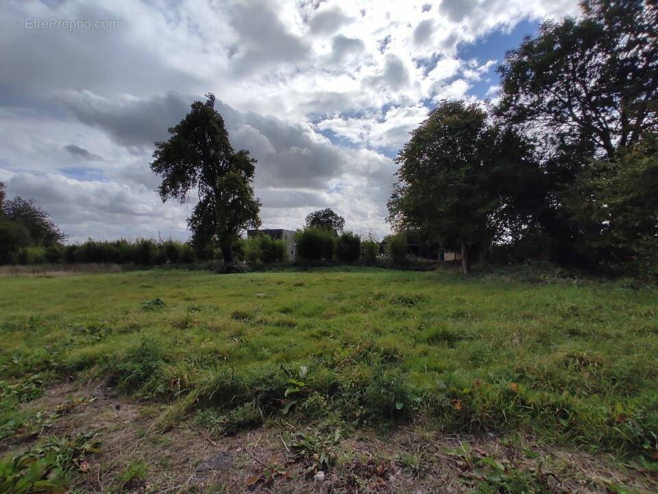 Terrain à FORT-MOVILLE