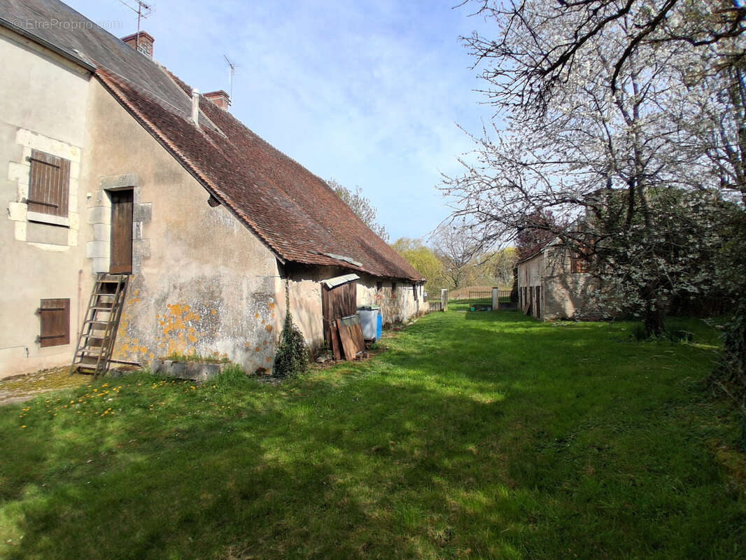 Maison à OUZOUER-SUR-TREZEE