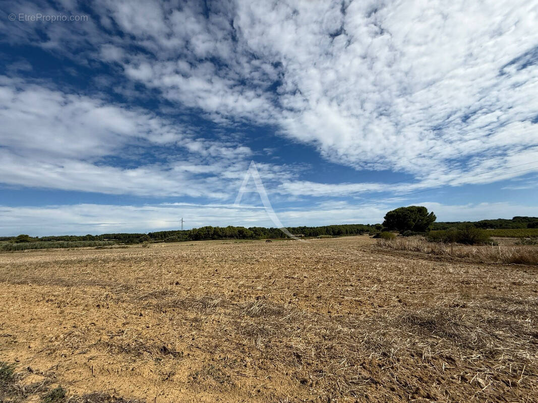 Terrain à MONTAGNAC