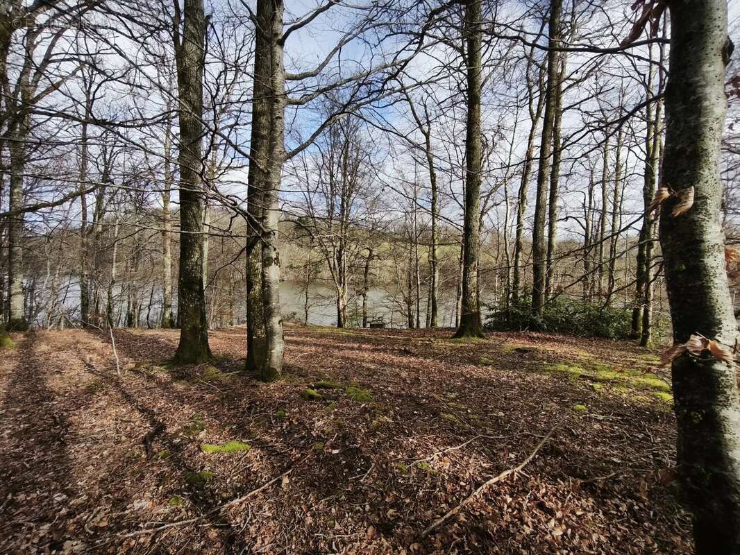 Terrain à PONT-DE-SALARS