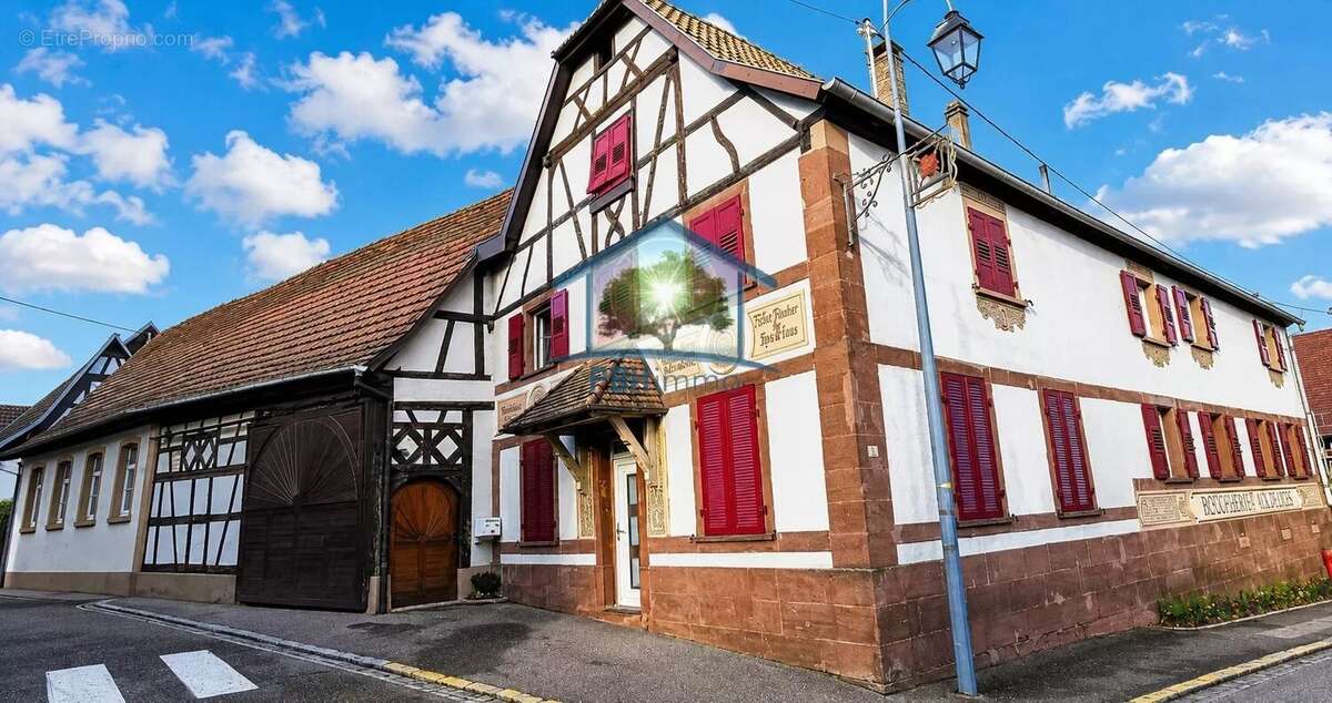 Appartement à ENGWILLER