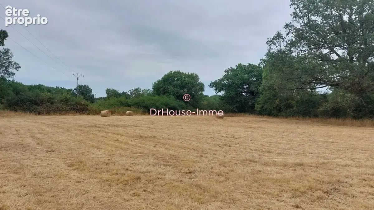 Terrain 4 920 m² à vendre à Bouesse (36200) - photo 6