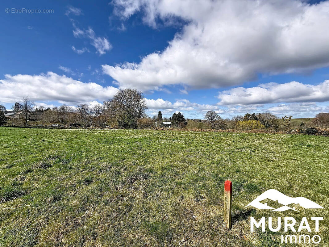 Terrain à CHAPDES-BEAUFORT